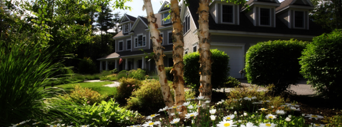 MothersFrontYard